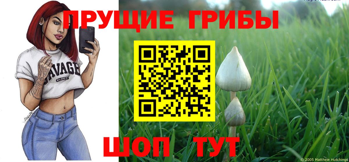 Кстово  продажа наркотиков  Псилоцибиновые грибы Magic Shrooms  Вход с VPN  Галлюциногенные грибы Psilocybe 